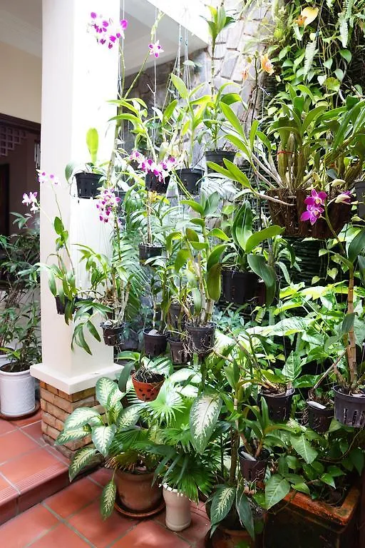 An Huy Hotel Hoi An